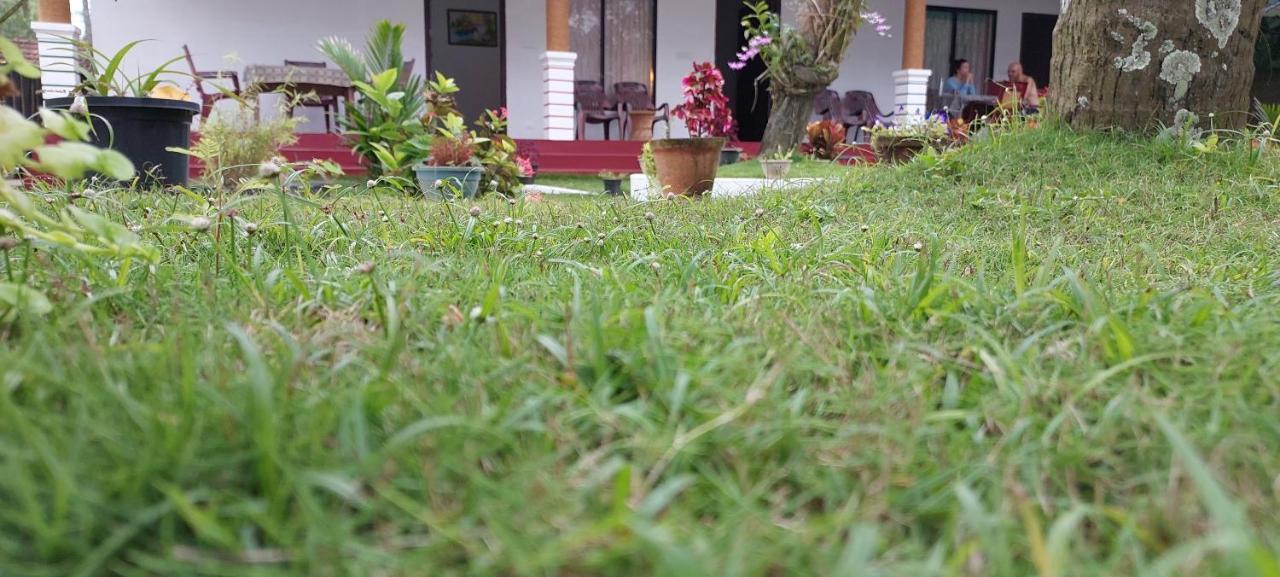 Marari Phoenix Beach Homestay Mararikulam Ngoại thất bức ảnh