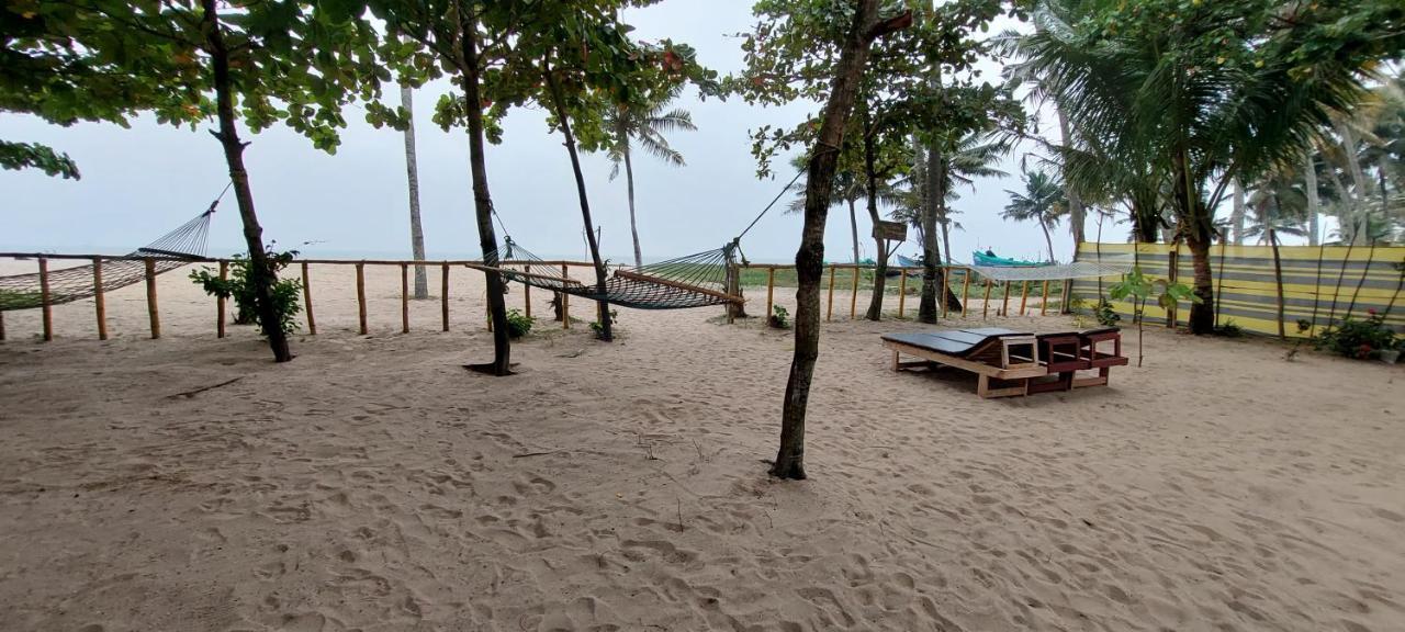 Marari Phoenix Beach Homestay Mararikulam Ngoại thất bức ảnh
