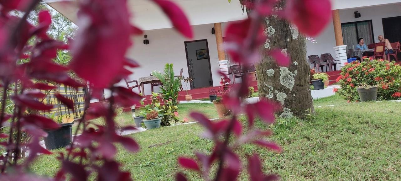 Marari Phoenix Beach Homestay Mararikulam Ngoại thất bức ảnh